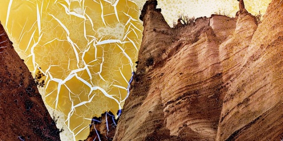 Creators In Focus: The Fragility of Land Through Ella Morton’s Mordançage and Film Techniques