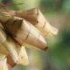lebaran-membosankan-adalah-fase-pendewasaan-yang-lebih-pahit-dari-obat-puyer