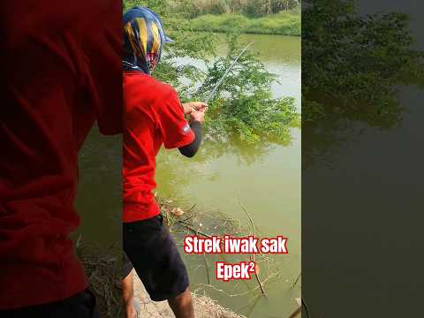 DETIK² CREW MANCING MANIA TRANS 7 STRAEEK IKAN #mancing #fishing #mancingmania