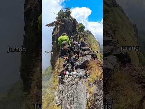 PENDAKIAN EXTREME LINTAS CINCIN 7 HARI 😭🔥 SULAWESI SELATAN #pendaki #gunung #pendakigunung
