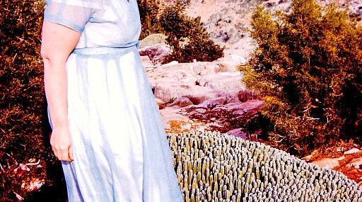 A Conversation Across Time: Kalliope Amorphous on the “Midcentury Archive”