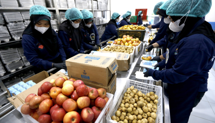 dua-sppg-di-sulsel-kena-suspend-karena-telat-kirim-paket-mbg