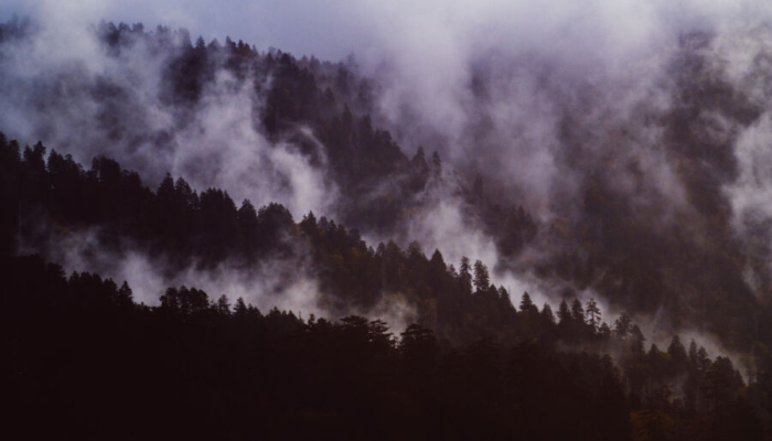 5-perbedaan-antara-kabut,-embun,-dan-awan-yang-sering-dianggap-sama