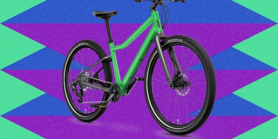 Sepeda Anak Terbaik (2026): Woom, Prevelo, Guardian, dan Lainnya