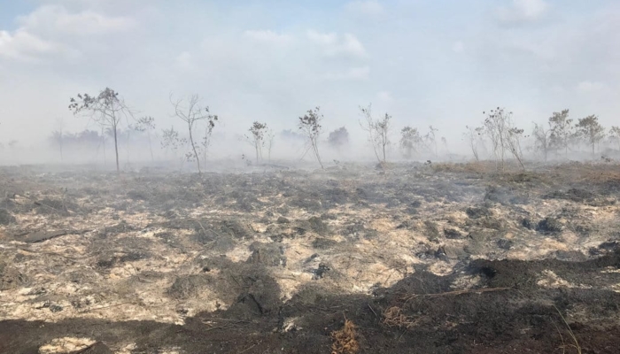 karhutla-di-bengkalis-riau-belum-padam,-sumber-air-minim