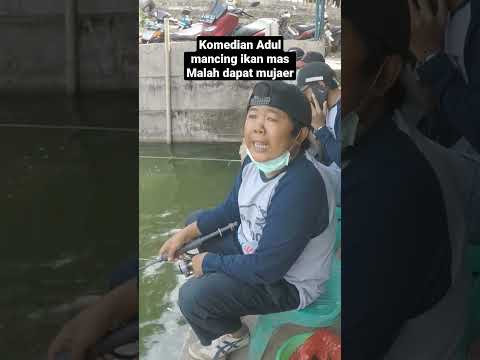 Adul mancing dapat mujaer #mancing #lucu #fishing