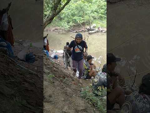 Jangan tanya ini Ikanya orang #mancing #baungbesar #baung_hitam