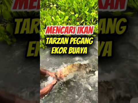 Tarzan Tidak Takut Buaya#fishing #mancing #mancingmania #buaya #videoviral #viral #viralvideo #video