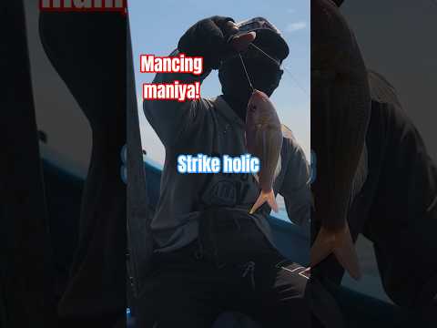 MANCING MANIA STRIKE BERTUBI TUBI!! LAUT UTARA PROBOLINGGO #youtubeshorts #mancingmania