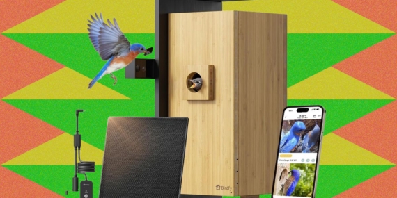 Penjualan Musim Semi Amazon Berkembang Dengan Pengumpan Burung Cerdas