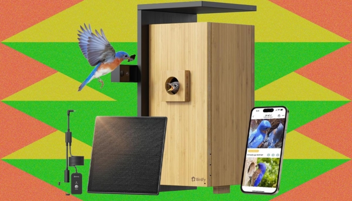 penjualan-musim-semi-amazon-berkembang-dengan-pengumpan-burung-cerdas