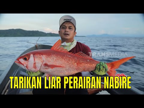 [FULL] TARIKAN LIAR PERAIRAN NABIRE | MANCING MANIA STRIKE BACK (16/08/25)