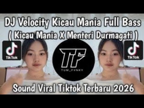 DJ KICAU MANIA X MENTRI DURMAGATI • PARTY VELOCITY VIRAL TIKTOK TERBARU FULL SONG TUM FVNKY 2026 !!