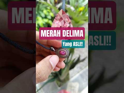 diburu para kolektor kelas dunia internasional. inilah keindahan batu permata ruby merah delima