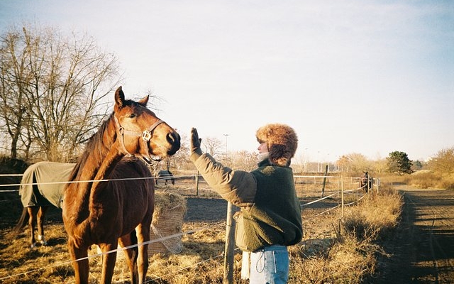 first-roll-favorites-with-the-lomo-mc-a-by-@wenica,-@t0m7,-and-@romandius
