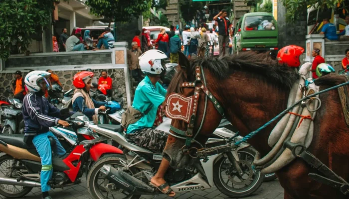 gresik-yang-dahulu-saya-anggap-biasa-aja,-sekarang-malah-bikin-kangen