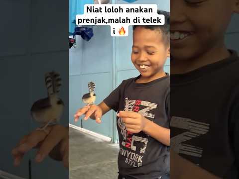 Malah di telek i 😅🔥 #kicaumania #kicaumaniaindonesia #kicaumanianusantara #burung #burungkicau