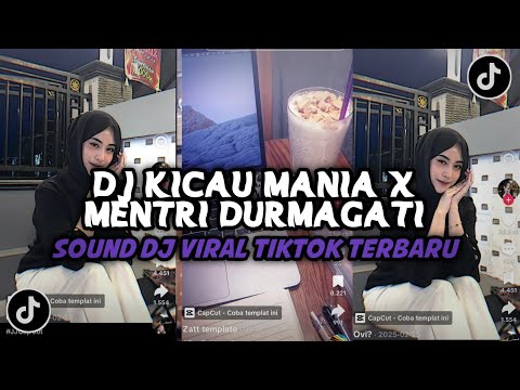DJ KICAU MANIA X MENTRI DURMAGATI VIRAL TIKTOK TERBARU YANG KALIAN CARI INI