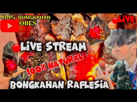 🔴LIVE – “Bongkahan Akik Asli, Garansi Uang Kembali!”✨