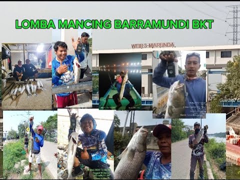 LOMBA MANCING KAKAP PUTIH SPOT MARUNDA PANEN STREKK..!!! SPOT MUARA BKT& UJUNG BKT MARUNDA..!!