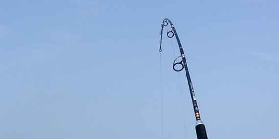 Membaca Tanda Alam Saat Mancing Trolling di Laut Lepas