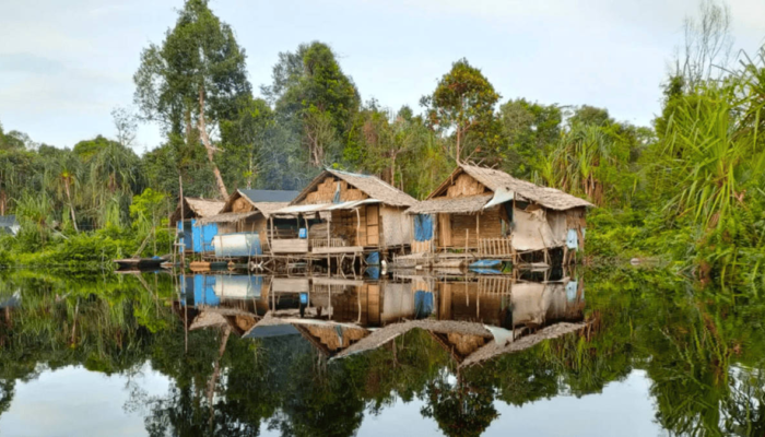 danau-zamrud-siak,-menelusuri-labirin-air-dan-habitat-arwana-di-lahan-gambut