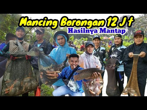 MANCING BORONGAN BAWAL 12 JT ‼️ MANCING BORONGAN DI DEPOK