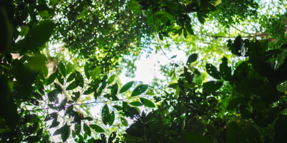 8 Manfaat Mengetahui Pengetahuan Alam bagi Rasa Syukur dan Kekaguman pada Ciptaan