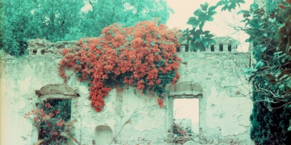 In Depth: Why We Write Love Poems in a Burning World