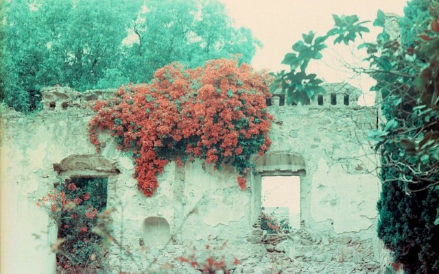 in-depth:-why-we-write-love-poems-in-a-burning-world