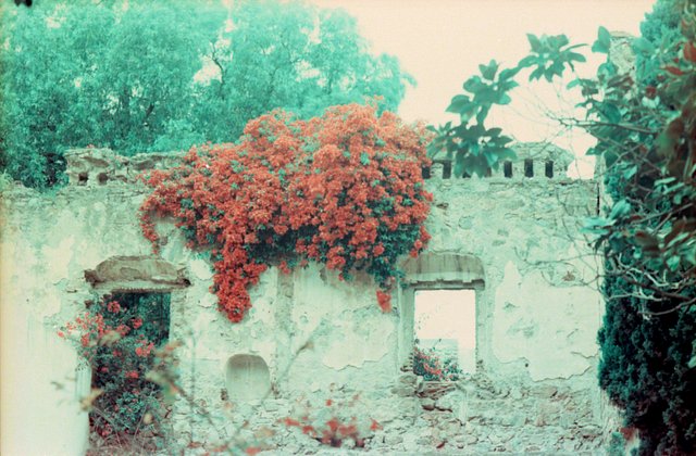 in-depth:-why-we-write-love-poems-in-a-burning-world