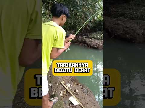 Mancing disungai dapat sesuatu yang tak terduga #mancing #fishing