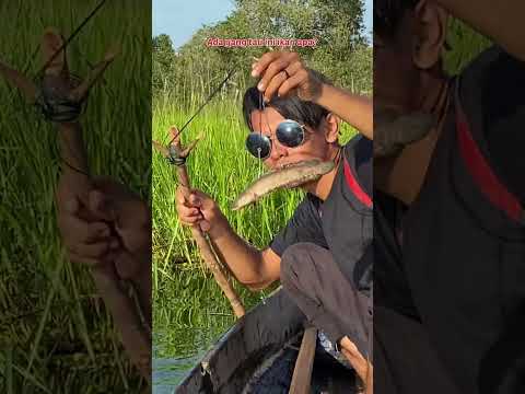 ANGKAT 9 PANCING UMPAN IKAN HIDUP DI SUNGAI AMAZON KALIMANTAN😅 #173 #bocahpecicilan