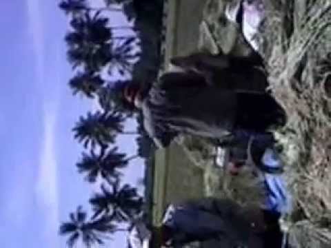 KOMUNITAS PETANI MJBS FM KUTA MEULIGOE SAWANG ACEH UTARA LIPUTAN M,NUR