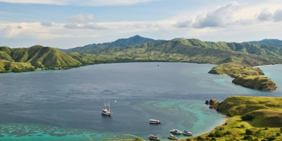 Kalimantan Tengah Nomor 1, Ini Daftar 10 Provinsi Terluas di Indonesia