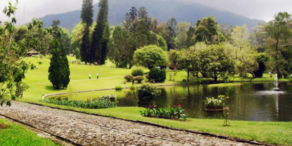 Terbesar di Indonesia, Taman Lumut Kebun Raya Cibodas Kini Direvitalisasi
