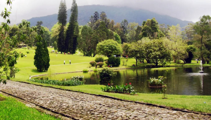 terbesar-di-indonesia,-taman-lumut-kebun-raya-cibodas-kini-direvitalisasi