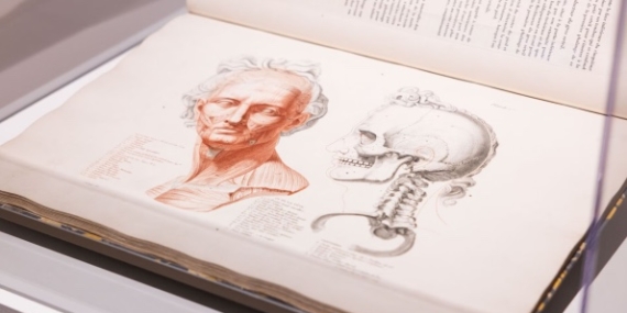 ArtScience Museum Hadirkan Pameran Terbaru