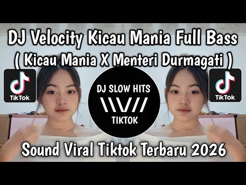 DJ VELOCITY KICAU KICAU MANIA FULL BASS HOREG • DJ KICAU MANIA X MENTERI DURMAGATI VIRAL TIKTOK