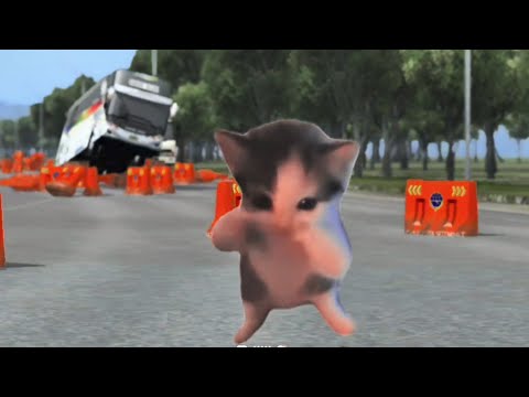 Kucing Kicau Mania udah sampai di BUSSID😱|| Meme BUSSID