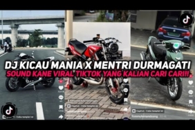 DJ KICAU MANIA X MENTRI DURMAGATI SOUND CINEMATIC VIRAL TIKTOK YANG KALIAN CARI CARI!!