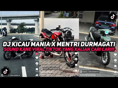 DJ KICAU MANIA X MENTRI DURMAGATI SOUND CINEMATIC VIRAL TIKTOK YANG KALIAN CARI CARI!!