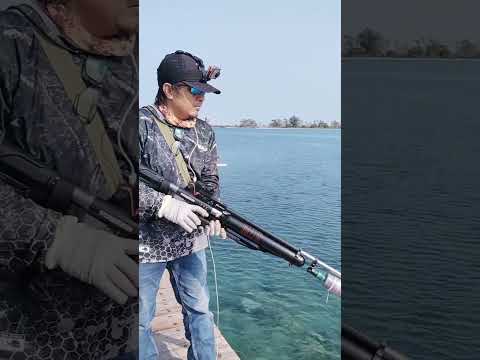 Fishing hunting shooting fish, paser mania paser ikan