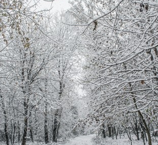 6 Negara Terdingin di Dunia