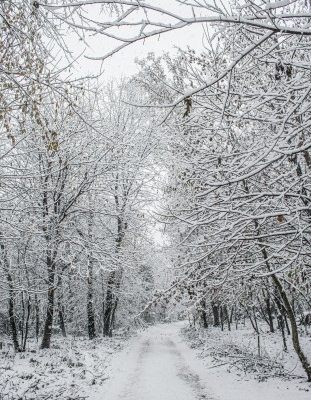 6-negara-terdingin-di-dunia