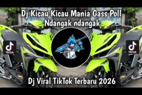 DJ KICAU KICAU MANIS GASS POLL NDANGAK NDANGAK | DJ KICAU MANIA  VIRAL TIKTOK TERBARU 2026
