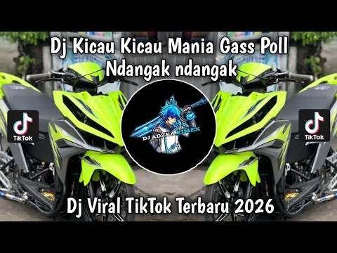 DJ KICAU KICAU MANIS GASS POLL NDANGAK NDANGAK | DJ KICAU MANIA  VIRAL TIKTOK TERBARU 2026