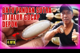BATU AKIK PANDAN SUTRA KAPAS NANAS LUMUT REDDISH SISIK UNIK  |  JAKARTA GEMSTONES MARKET (INDONESIA)