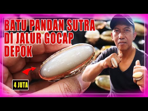 BATU AKIK PANDAN SUTRA KAPAS NANAS LUMUT REDDISH SISIK UNIK  |  JAKARTA GEMSTONES MARKET (INDONESIA)