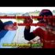 Testimoni essen Lumut & Cacing || tutorial mancing part.3